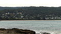 Another view of Lorne
