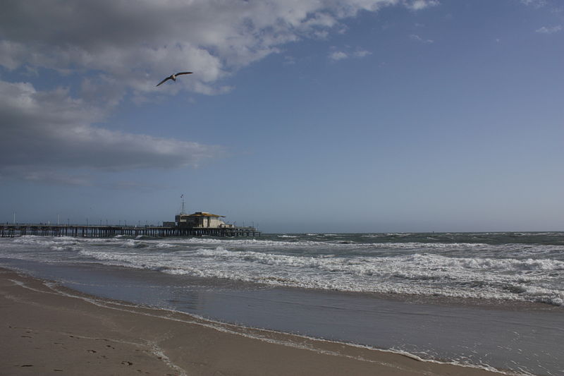 File:Los angeles beach 11.JPG