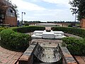 Lumbini the birth place of lord Buddha 10