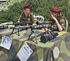 М 24. M24 SWS. M24 Gun. M24 суладжан. M24 Rapper.