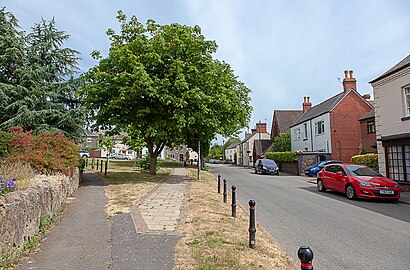 How to get to Markfield with public transport- About the place