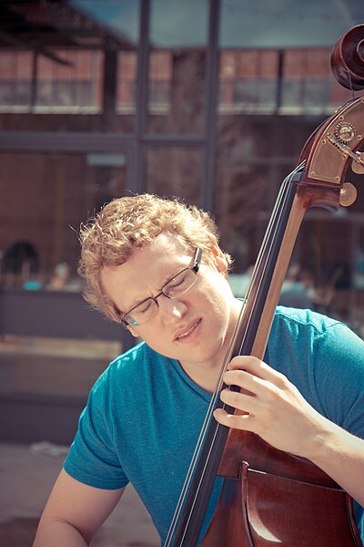 File:Man Playing a Double-Bass - North River District, San Antonio, Texas (2015-03-22 by Nan Palmero).jpg