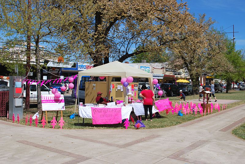 File:Mansfield Cancer Rally.JPG