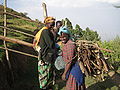 Marakwet women carrying firewood
