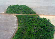 Deforestation in Mato Grosso state Mato Grosso deforestation (Pedro Biondi) 12ago2007.jpg