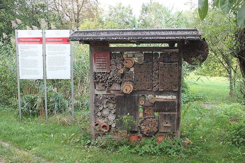 File:Medicinal Plant Gardens Weleda Schwaebisch Gmuend Insect hotel.jpg