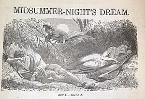 El Somni D'una Nit D'estiu: Argument, Temàtiques, Personatges