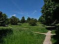 Part of Mile End Park.