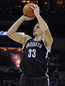 Mirza Teletovic Nets.jpg