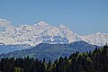 Mont Blanc @ Montagne des Voirons (51210696387).jpg