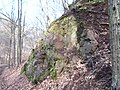 Monzonit im Tännichtgrund bei Niederwartha (Meißner Massiv)