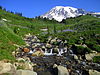 Mount Rainier in summer