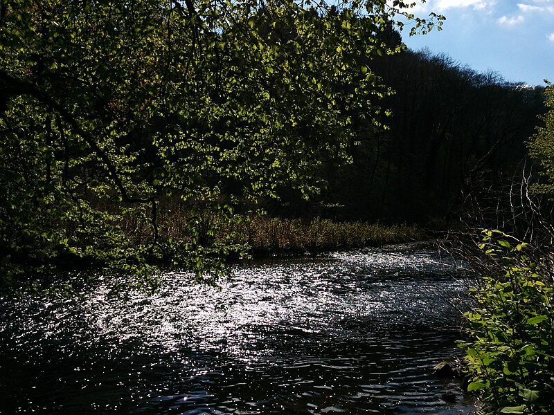 File:Muengstener-bruecke-umgebung-tobefree-20170429-162848.jpg