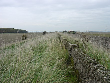 A muraltmuur on the former island of Wolfersdijk, now part of Zuid-Beveland. A muraltmuur is a wall that is used to raise the height of a dike.