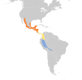 Distribución geográfica del bienteveo ventriazufrado.