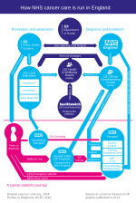 Thumbnail for File:NHS cancer care in England.svg