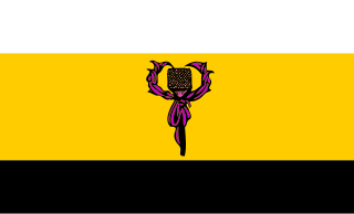 <span class="mw-page-title-main">Nation of Hawaiʻi (organization)</span> Hawaiian independence organization