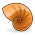 Nautilus icon.svg