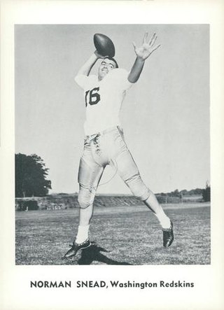 <span class="mw-page-title-main">Norm Snead</span> American football player (born 1939)