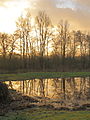 * Nomination Morning Glory above the lake on the Famberhorst.-- Famberhorst 06:38, 9 January 2014 (UTC) * Decline Overexposed, chromatic noise, not a QI, sorry --Poco a poco 11:40, 9 January 2014 (UTC)