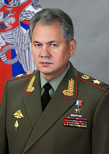 Minister of Defence, General of the Army Sergei Shoigu