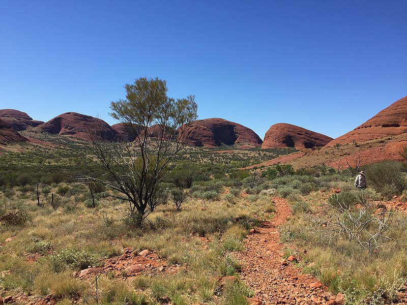 File:Olgas IMG 2092 NT (39207746992).jpg