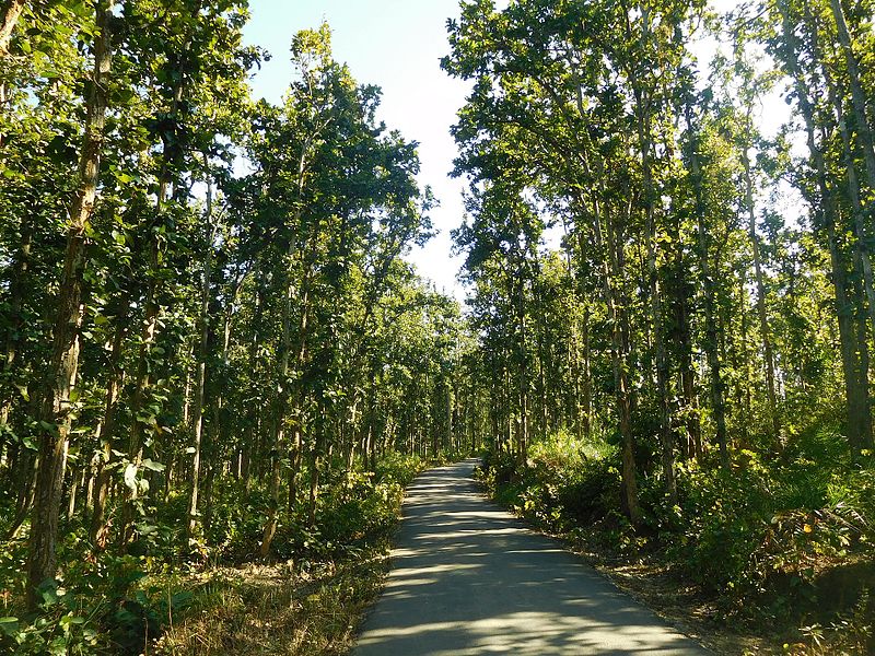 File:On the way to Kakrebihar Temple 10.jpg