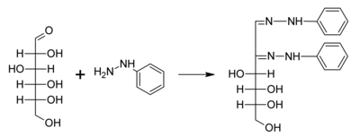 A typical reaction showing the formation of an osazone. D-glucose reacts with phenylhydrazine to give glucosazone. The same product is obtained from fructose and mannose. Osazone-Formation.png