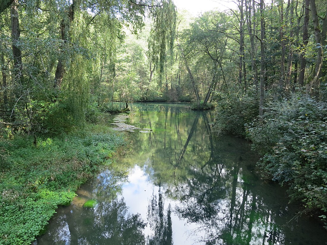 File:Pöhlde-Rhumasprung Abfluss-Rhumequelltopf Sept-2015 IMG 6676.JPG