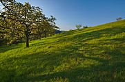 Čeština: Přírodní památka Nad Koupalištěm, okres Žďár nad Sázavou