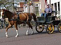 Aanspanning met metalen lamoen en licht broektuig