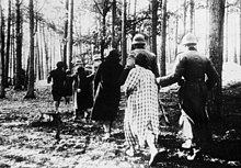 Polish women being led by German soldiers to the execution site; Palmiry, 1940 Palmiry ostatnia droga.jpeg