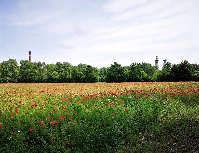 File:Parco dell'Adige 4.jpg