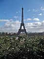 * Nomination view on the Eiffel Tower from the Trocadero --Marianne Casamance 16:40, 2 September 2015 (UTC) * Decline  Oppose Insufficient quality. Sorry. Not sharp. --XRay 16:47, 2 September 2015 (UTC)