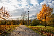 Środula Park / Sosnowiec / Poland