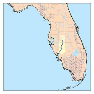 <span class="mw-page-title-main">Peace River (Florida)</span> River in the United States of America