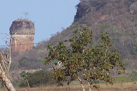 Figueirão