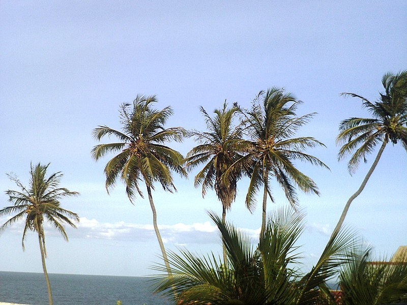 File:Pedra do Chapéu - Tibau-RN - panoramio (6).jpg