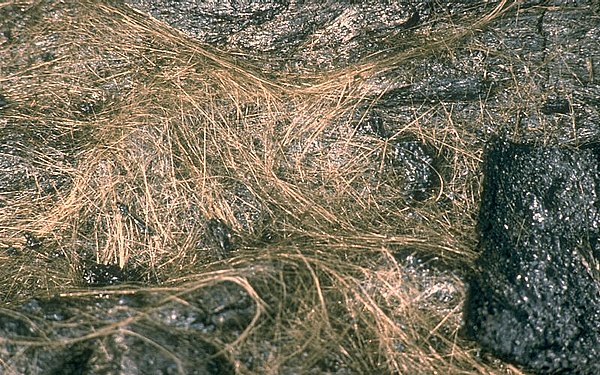 Pele's hair, a volcanic glass in strands
