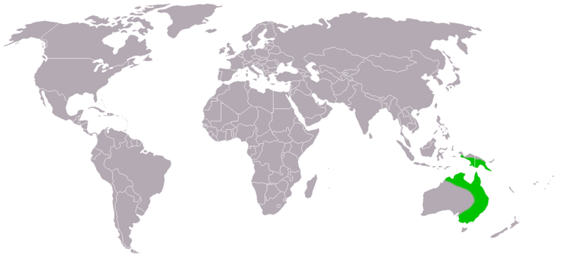 File:Petaurus breviceps distribution map.png