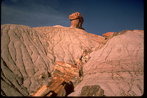 Petrified Forest National Park PEFO2099.jpg