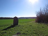 Piedra de los monjes