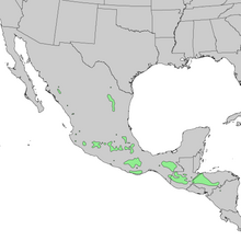 Pinus pseudostrobus range map 1.png