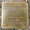 Plauen, Stolperstein Gertrud Goldberg - Karlstraße 10.jpg