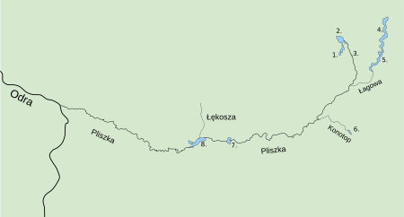 Pliszka with tributaries