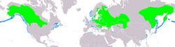 Distribution du grèbe jougris