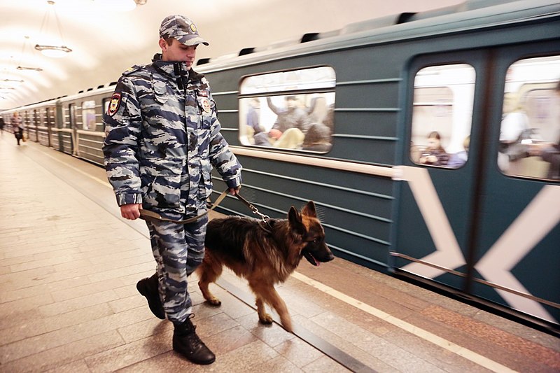 Файл:Police dog in Moscow Metro.jpg