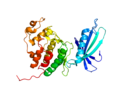 Thumbnail for Cyclin-dependent kinase 4