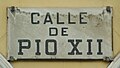 Pío XII Rúa