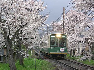 桜のトンネルの中を走行するモボ631形電車